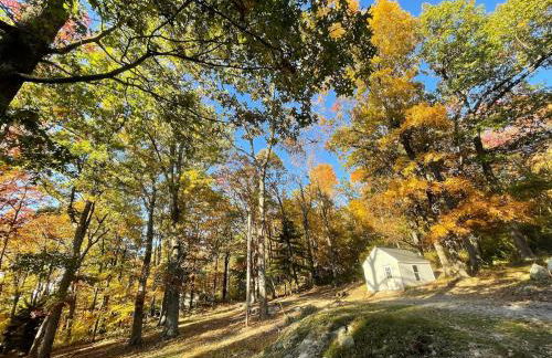 Entire Mountain Cottage Near Scenic Hiking Trails - Photo 53