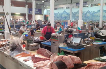 Moinho do Marco - Foto 61