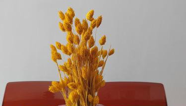 The cozy seaside apartment - Foto 4