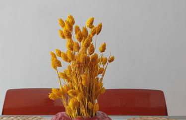 The cozy seaside apartment - Foto 4