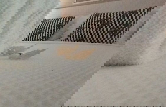 ILLA BLUE VILLAGE - Photo 32