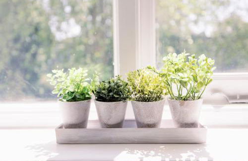 Bright, Spacious 2-bed, 5 mins from Tube, Sleeps 4 - Pass the Keys - Foto 20