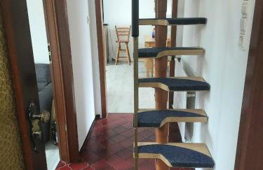 Zum Eiderweg Hennstedt - Photo 4