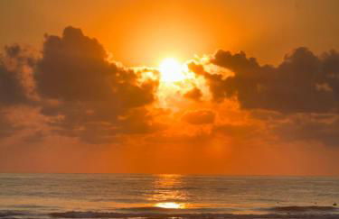 Chalet Centro Encuestre MET OLIVA NOVA - Foto 34