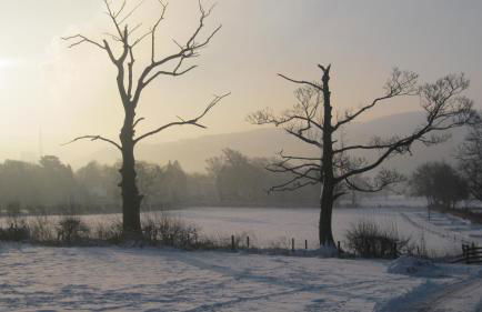 Riding house Farm Cottages - Photo 14
