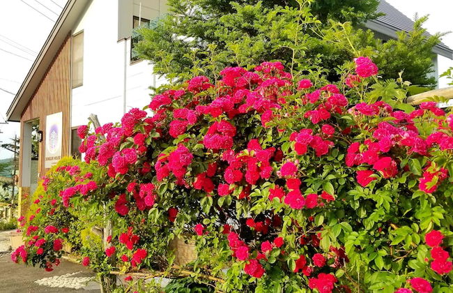 Donguri House - Foto 40