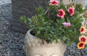 haus-sand-am-meer - Photo 55