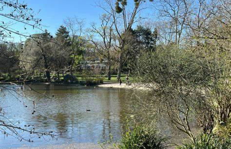 Chez Sophie, cosy et calme, à deux pas de Paris - Foto 10