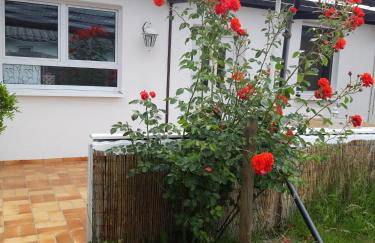 Bungalow Usedom - Foto 1