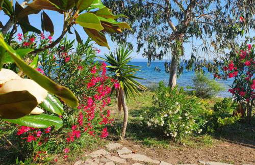 Wonderful stone house infront of the sea. - Photo 19