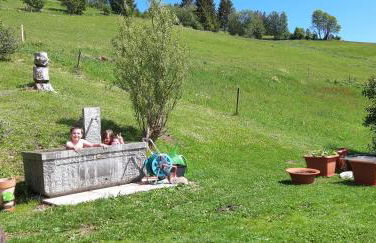 Drei Tannen - Foto 69