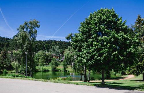 Ferienwohnung "Am Skilift" - Foto 35