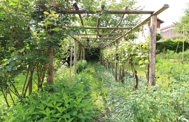 Belvilla by OYO Casetta Delle Rose - Photo 19