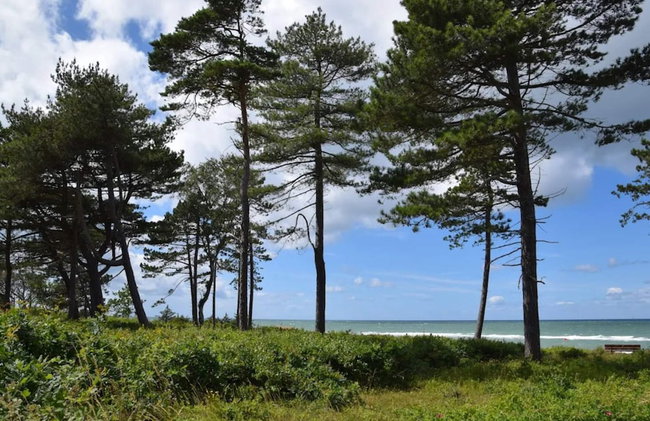 5 Star Holiday Home in Gilleleje - Foto 24