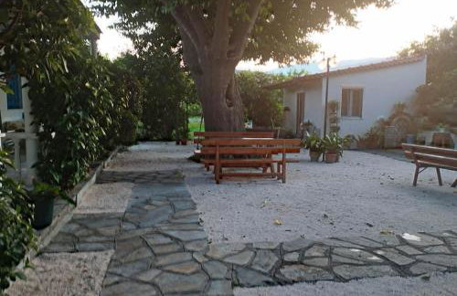 Xara Apartments - Foto 10