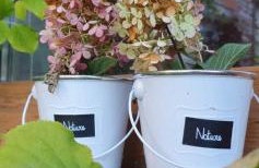 Dom Gościnny Magiczna Stodółka - Foto 22