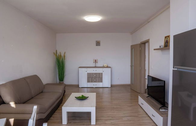 Apartment La Ciobanu - Foto 7