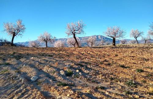 Cortijo La Estrella - Foto 12