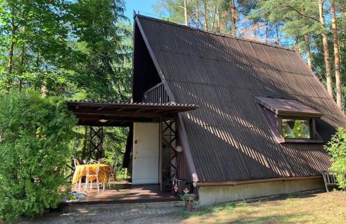 Kamińsko, Puszcza Zielonka, dom nad jeziorem - Foto 1