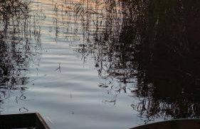 Domek letniskowy Letniczówka - Photo 28