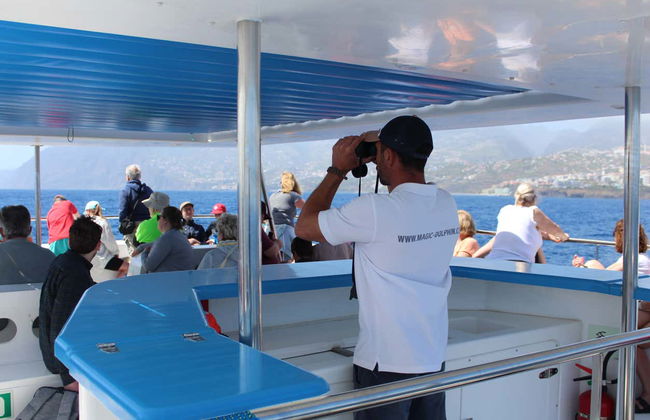 Whale & Dolphin Watching Cruise - Photo 11