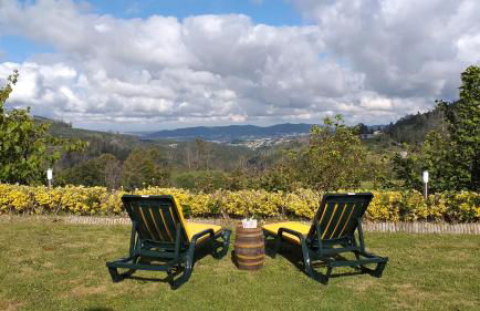 Casa da Boa Vista em Viadal - Foto 70
