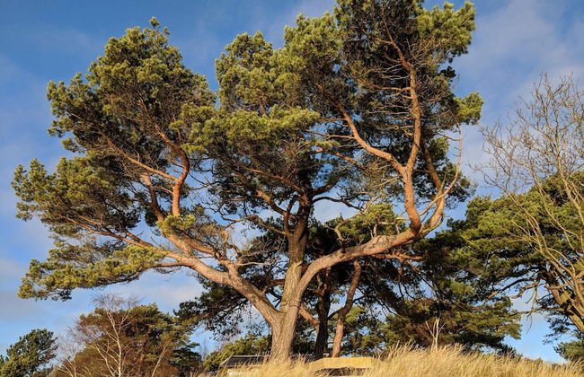 Cozy Cottage Near Beach in Ahus - Foto 9