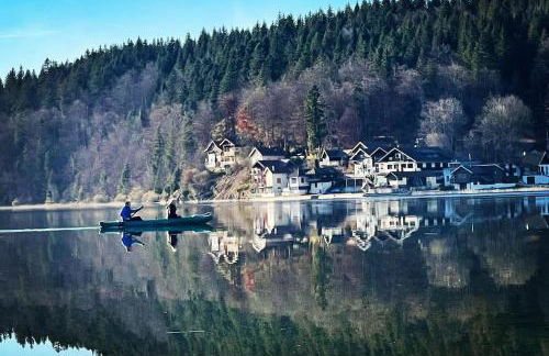 La Gentiane bleue, vue lac Saint Point - Foto 37