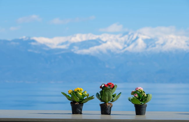 Hilltop Residences - Photo 24