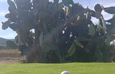 villa lina sicily - Photo 12