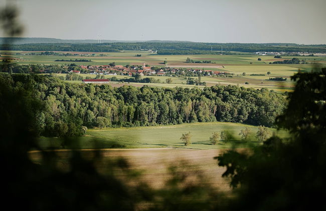 Schloss Frankenberg - Photo 36