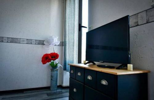 Grand appartement de haut standing en centre-ville - Foto 36