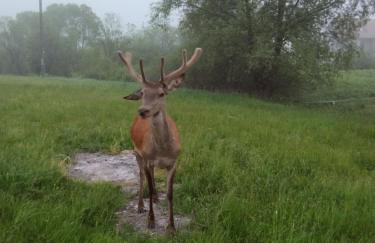 Apartamenty Równia 2 - Foto 77