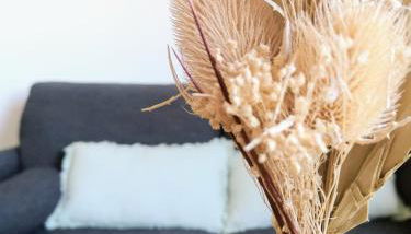 Appartement studio Cosy Centre-Ville - Foto 4