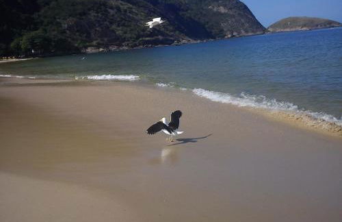 Casa Vista Panorâmica Itaipu - Foto 72