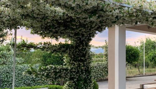 Ginger House - Foto 3