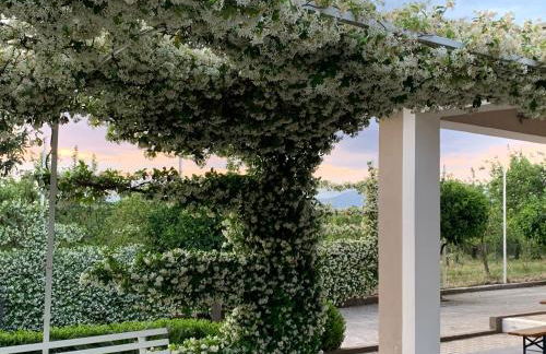 Ginger House - Foto 3