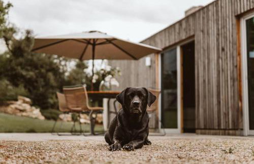 Ferienhaus TierbachLodge - Foto 15