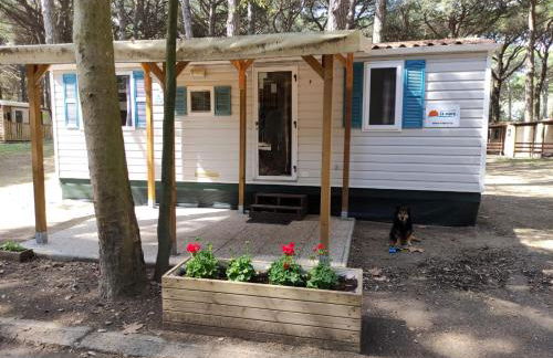 Mipro Mobilhome 5 - Foto 1