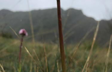 Lar da cima - Foto 73