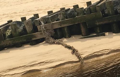 Le Neptune - Foto 64