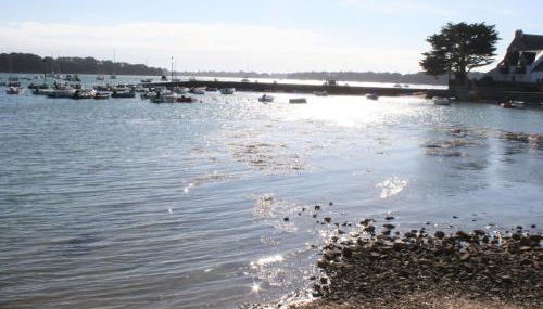 Charmante maison à Larmor Baden - 4 chambres, jardin, proche plages, animaux admis, WiFi - FR-1-775-9 - Foto 2