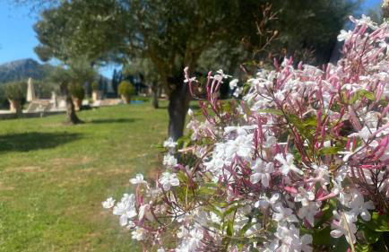 Agroturisme Son Cardaix - Foto 40