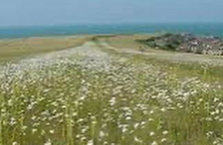 Beach, hills, food, scenic walks-The Kelp house. - Foto 35