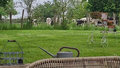 Le Romarande, Cottage détente avec SPA privatif - Foto 2, Garden, Garden view