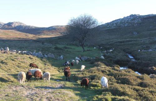 A Avozinha - Arouca - Foto 48