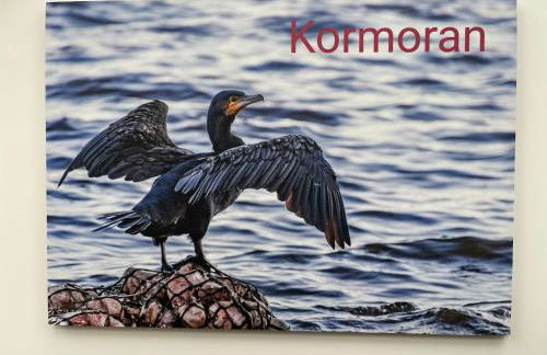 Ostseedomizil "Ankerbuk", Ferienwohnung Kormoran - Foto 15