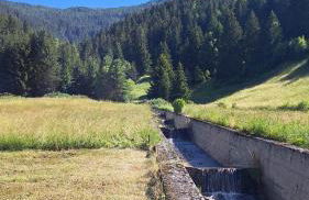 Residence Raethia tra Bormio e Livigno & Casa Emma Rasin new opening - Foto 54