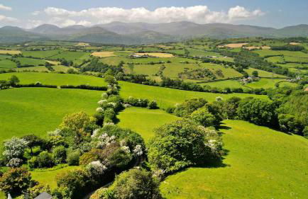 Finest Retreats - Skyview Lodge - Photo 22