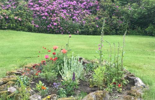 Foresters Cottage, Dalry - Foto 20